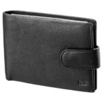 ΠΟΡΤΟΦΟΛΙ ΔΕΡΜΑ  ΙΝΔΙΑΣ