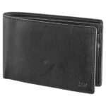 ΠΟΡΤΟΦΟΛΙ ΔΕΡΜΑ  ΙΝΔΙΑΣ