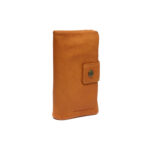 ΠΟΡΤΟΦΟΛΙ ΔΕΡΜΑ ΙΝΔΙΑΣ