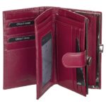 ΠΟΡΤΟΦΟΛΙ ΔΕΡΜΑ ΙΝΔΙΑΣ